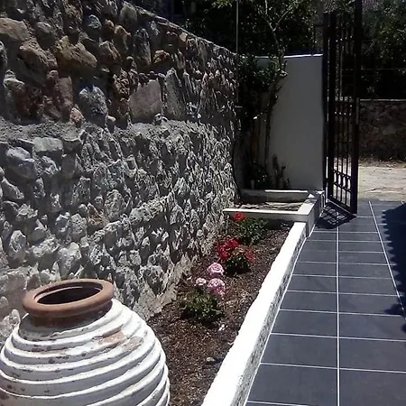 Flower Κότρωνας