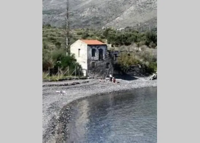 Flower * Κότρωνας