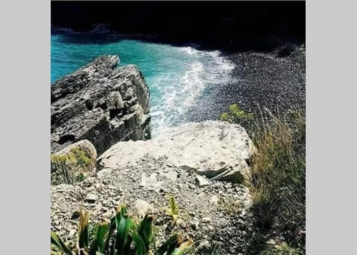 Flower Σπίτι διακοπών Κότρωνας