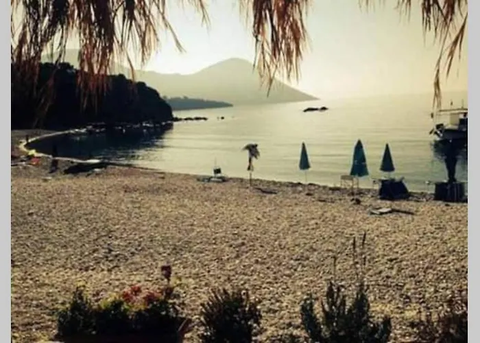 Flower * Κότρωνας