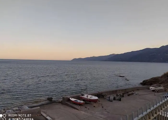 بيت للعطل Flower